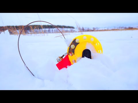 Видео: РЫБАЛКА НА ЖЕРЛИЦЫ.ОНО СРЕЗАЕТ ЛЕСКУ.