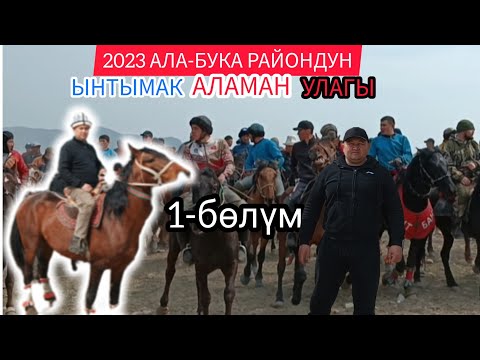 Видео: 2023 АЛА-БУКА РАЙОНДУН ЫНТЫМАК АЛАМАН УЛАГЫ/ 1- бөлүм