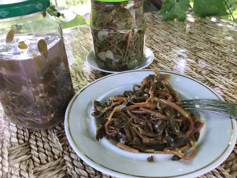 Видео: Не знала, что это съедобно! Да еще и очень вкусно! Портулак маринованный
