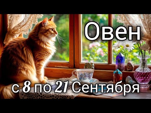Видео: 🌞Овен! Таро прогноз с 8 по 21 Сентября!