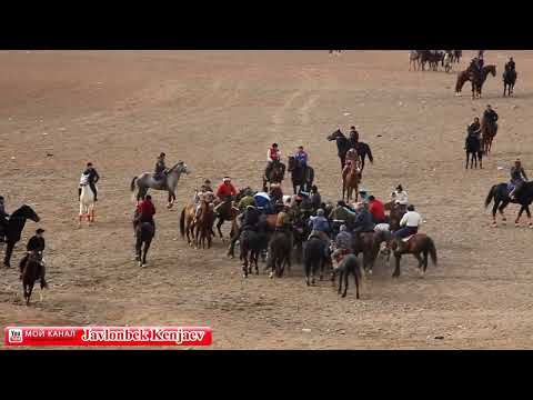 Видео: Улоки теракли 25.12.2021 Спонсор Баротбой ака