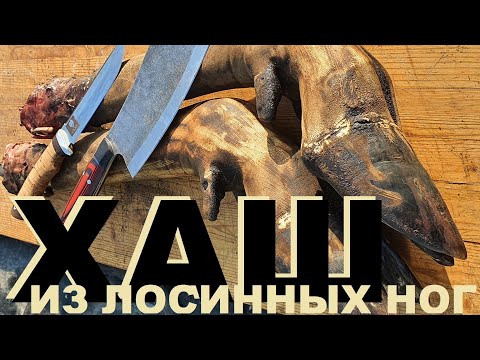 Видео: ХАШ из лосинных ног и другие приключения СЮФика.