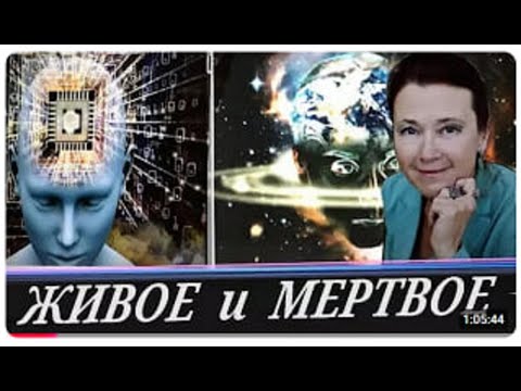 Видео: Бывают ли природные алгоритмы: живой или мертвый интеллект ?