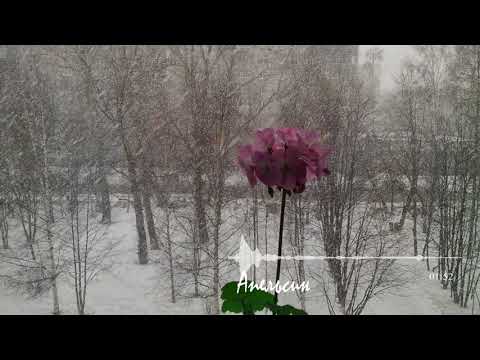 Видео: ЛЁХА (ЕЛЕНА САВЕЛЬЕВА) - А МОЖЕТ