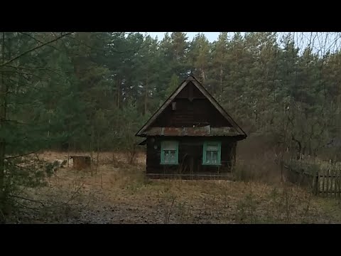 Видео: д.Новодворцы, д.Залесье, Пружанский район, Беларусь 29:12:2023г.