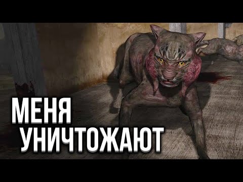 Видео: Этот Мод Уничтожает Меня - STALKER Рейд во Мрак Anomaly