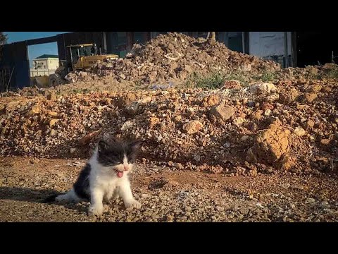 Видео: Он умолял всех на стройке о помощи, но все делали вид, что не замечают...