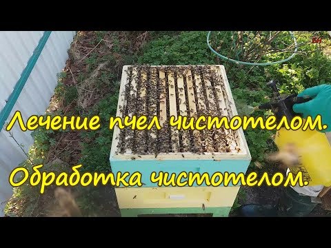 Видео: пчеловодство, лечение пчел чистотелом, обработка чистотелом