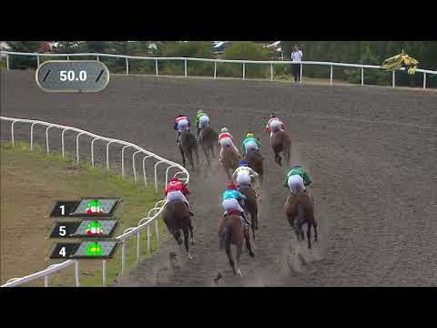 Видео: 9-я Скачка Кубок ПАО «Татнефть». Казанский ипподром. 30.08.2023