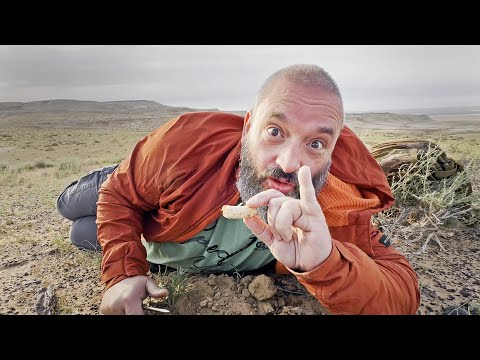 Видео: Что я делаю посреди пустыни?