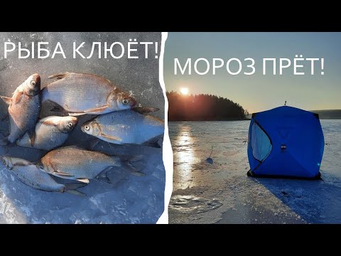 Видео: МОРОЗ ПРЕТ! РЫБА КЛЮЕТ! / Рыбалка на водохранилище