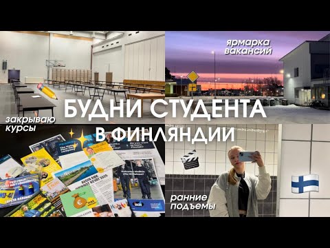 Видео: Будни студента в Финляндии || Учеба в колледже || Ярмарка вакансий
