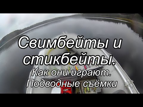 Видео: Обзор воблеров. Свимбейты и стикбейты. Как они играют. Подводные съёмки