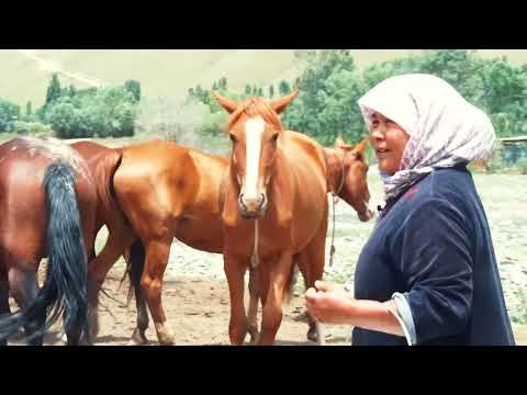 Видео: МЕНИН АЙЫЛЫМ/ТАЛДЫК АЙЫЛЫ/КАРА-СУУ