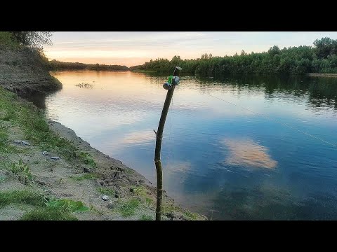 Видео: Макушатник обловил дорогие снасти. Рыбалка дикарем на реке Ахтуба.