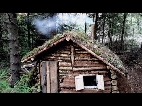 Видео: ТЕСТ ПЕЧКИ | ЛЕСНАЯ КУХНЯ | ЗДЕСЬ МОЖНО ЖИТЬ