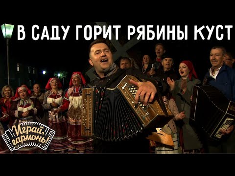 Видео: Играй, гармонь! | Евгений Сударев (г. Москва) | Колхозная (В саду горит рябины куст... )