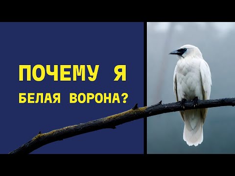 Видео: Схема социальной исключенности. Почему я везде чувствую себя изгоем