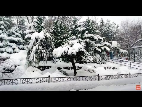 Видео: Как я ПОЗНАКОМИЛАСЬ первый раз с зоопарком "Сказка"!?