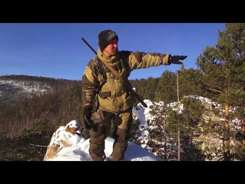 Видео: Изюбрь на отстое
