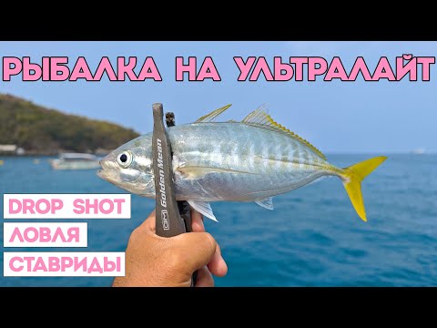 Видео: Отлично половил ставриду на силикон + приятный бонус. Рыбалка на ультралайт в Таиланде.