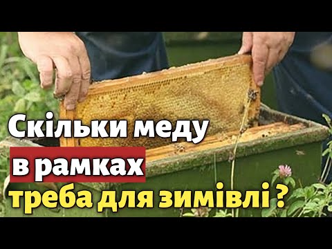 Видео: Скільки меду треба бджолам для зимівлі на вулиці?