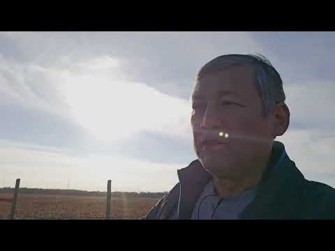 Видео: 25 октября 2025 г.