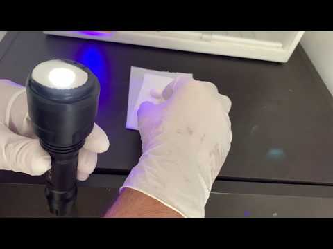 Видео: Инкубаторы для попугаев Incubators for parrots