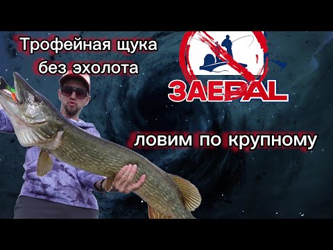 Видео: НОВОЕ ОЗЕРО С НОЛЯ  / трофей в любом водоёме без эхолота