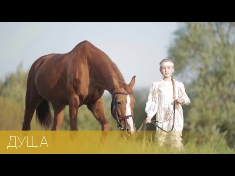 Видео: Софья Фисенко - Душа (муз. и сл. Ж.Колмагорова)