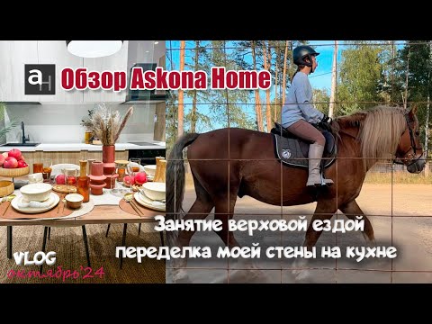 Видео: Обзор новинок в Askona home! Успехи и неудачи в конном спорте| Перекрашиваю стену на кухне)