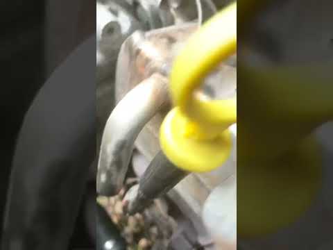 Видео: Чистка сажевого фильтра Opel Astra j 1.7 cdti. DPF Reinigung. #opelastraj #automobile#dpfsolution 