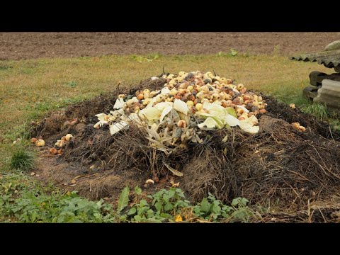 Видео: Мусор на вес золота. Экономия на удобрениях.