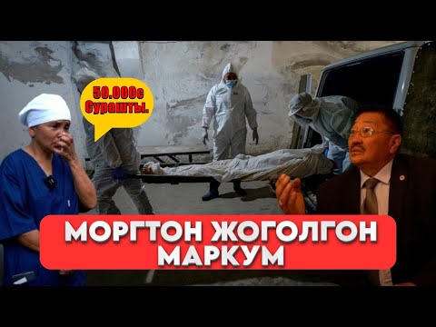 Видео: Жоголгон маркумга ким жооп берет?