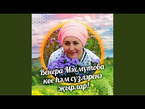 Видео: Аккош сагышы