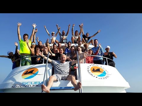 Видео: Дайв сафари, Симиланские острова, Ришелье Рок, Тайланд. Safari Dive,Similan Islands, Richelieu Rock.