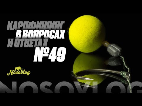 Видео: Карпфишинг в вопросах и ответах #49, Колесников А.