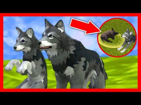 Видео: СИМУЛЯТОР ВОЛКА #5 ВОЛЧОНОК ВПЕРВЫЕ ВЫШЕЛ НА УЛИЦУ Жизни Зверей WildCraft