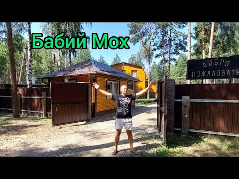 Видео: Обзор Агроусадьбы Бабий Мох на берегу Краснослободского водохранилища в лесу ........