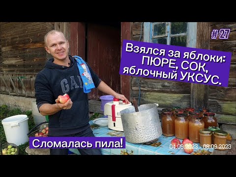 Видео: Сломалась пила! Взялся за переработку яблок: ПЮРЕ, СОК, яблочный УКСУС.