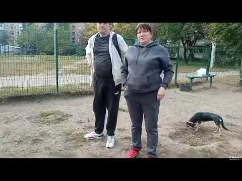 Видео: 24 октября 2025 г.