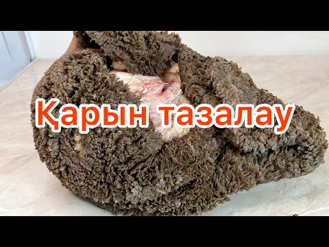Видео: ҚАРЫН ТАЗАЛАУ.ҚАРЫНДЫ ТЕЗ ТАЗАЛАУДЫҢ ӘДІС-ТӘСІЛІ.😱 10мин тазалап тастаймыз👏Как очистить требуху