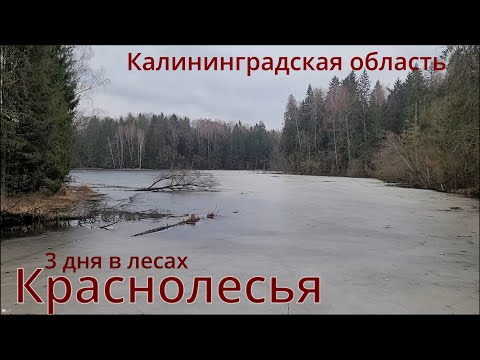 Видео: 3 дня в объективе.  Февральский поход на Виштынецкое озеро.