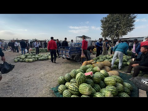 Видео: ГОВБОЗОРИ РЕГАР ШАНБЕ БОЗОРЧА НАРХИ ГОВ ГУСФАНДО ГУШТ 19 октября 2024 г.