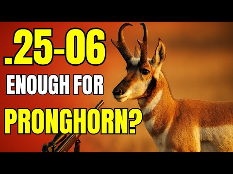 Видео: .25-06 Достаточно для Вилорога??? [Видеозаписи охоты]