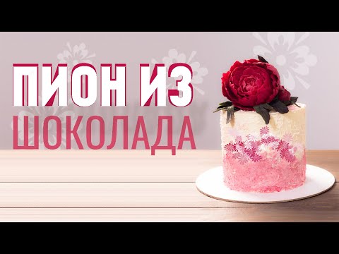 Видео: Пион из шоколада