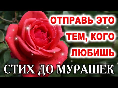 Видео: 🔴СТИХ ДО СЛЁЗ, ОЧЕНЬ ТРОГАТЕЛЬНО! ДОБРОЕ УТРО!  СТИХ ПРИТЧА О ДОБРОТЕ