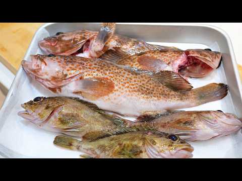 Видео: Проблема: нападение во время охоты за деликатесными ингредиентами в Полуночном море