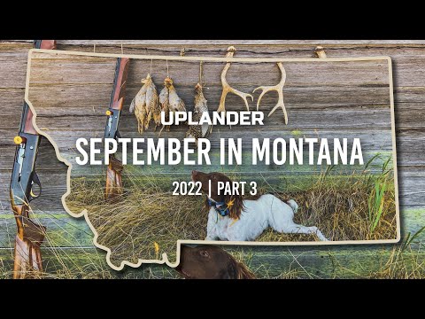 Видео: Сентябрь в Монтане! Дикие птицы в диких местах. Часть 3 (Финал)