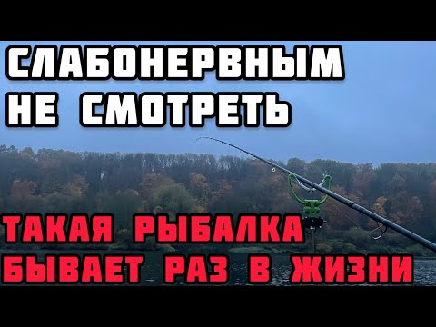 Видео: ТАКАЯ РЫБАЛКА БЫВАЕТ РАЗ в ЖИЗНИ ОСЕННИЙ ЖОР СЛАБОНЕРВНЫМ не СМОТРЕТЬ
